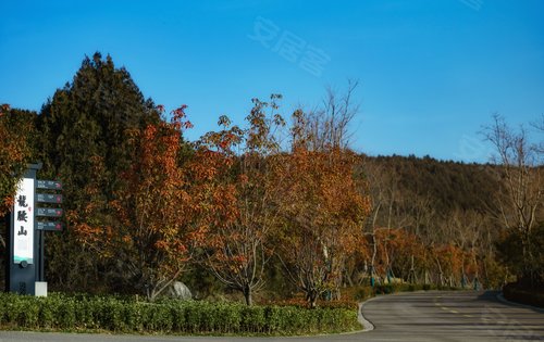 龙腰山800生态公园浅山风华后花园天气好可以逛逛公园啦