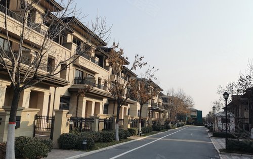 合肥新滨湖孔雀城别墅图片