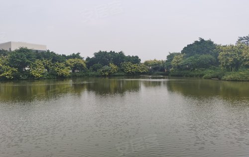 惠州安居客>惠州楼盘>仲恺区楼盘>潼侨楼盘>碧桂园潼湖科学城云创国际