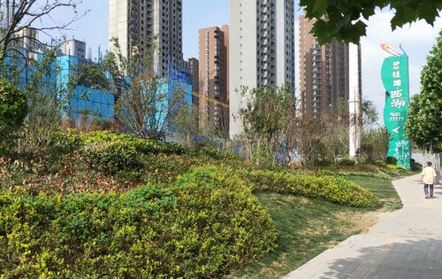 碧桂园西湖售楼部实景不愧为当红楼盘西流湖畔的家