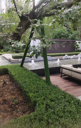 岳麓青城二期小区里面的绿化一角你心动了吗