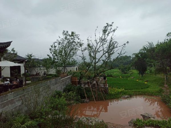 重庆楼盘 两江新区楼盘 水土楼盘 蓝城两江田园牧歌