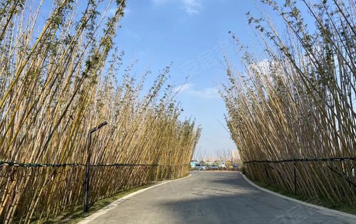 新塘河湿地公园已建成家门前的公园空气清新环境优美