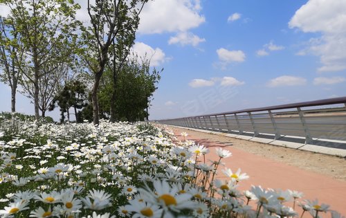 项目西侧白泥地公园