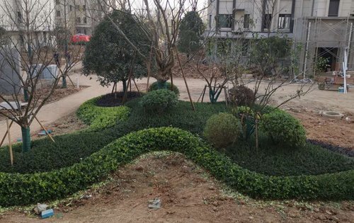 小区的园林绿化施工中十楼以上就可以看湖了哟