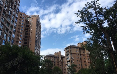 德阳楼盘 广汉市楼盘 广汉市楼盘 东泰翡翠郡三期 楼盘动态