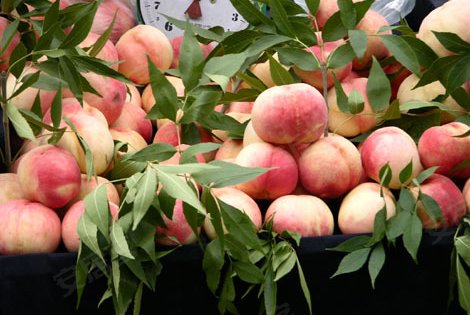 500x315c.jpg