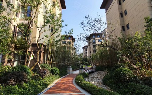 六层花园洋房带电梯环境优美