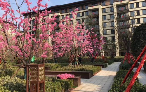 柘城建业春天里四期