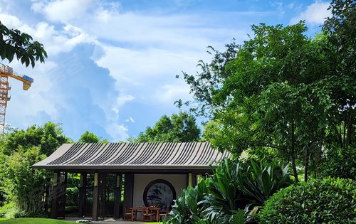 今天天气很好，随手一拍就是美景