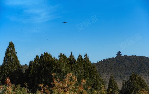 龙腰山800生态公园浅山风华后花园天气好可以逛逛公园啦