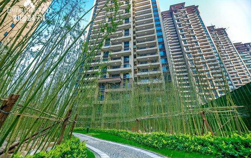 阜阳碧桂园翡翠天境