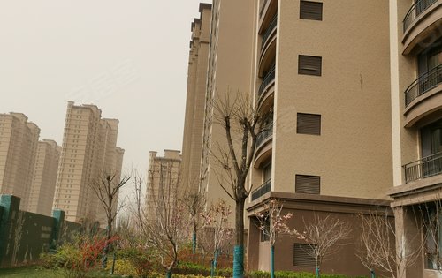 玉秀湾·唐郡动态:玉秀湾小区,桃花樱花朵朵开.-临汾安居客