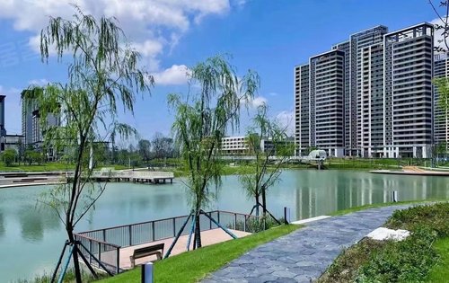 华侨城·纯水岸动态:天鹅湖实拍环境-襄阳安居客