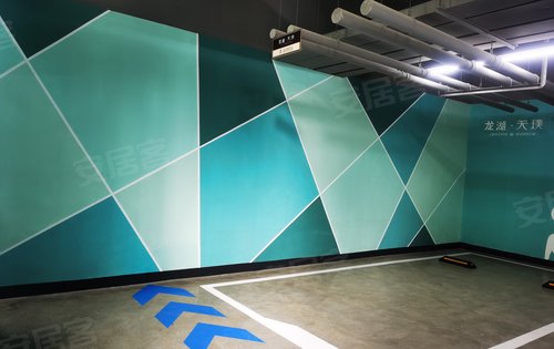 龙湖艺术彩绘车库处处皆用心