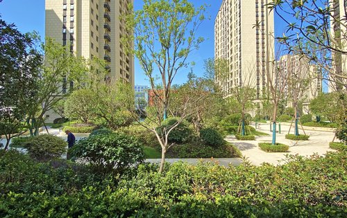 姑苏金茂悦动态:新鲜出炉的实景绿化图哦-苏州安居客