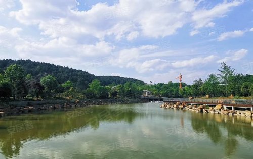 立夏中海映山湖即將綻放