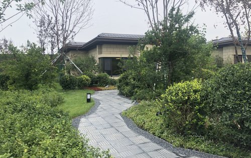荣盛固安阿尔卡迪亚绿化带