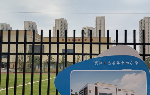 武汉市光谷十四小实拍