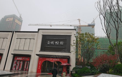 弘阳昕悦府动态:弘阳昕悦府进度-衡阳安居客