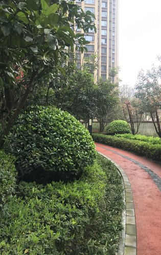 阳光城尚东湾