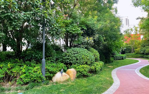 海马公园小区实景呈现