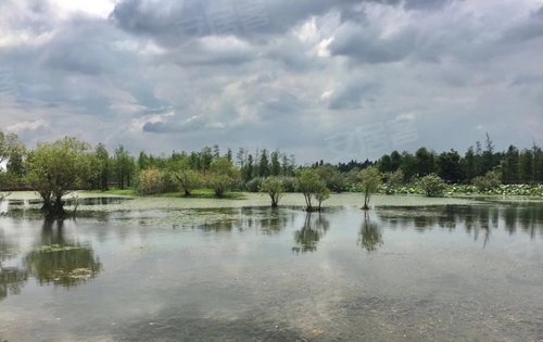 积水裕沁湖畔庭一步之遥环太湖湿地公园