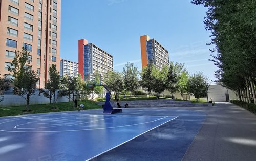 嘉都动态:嘉都公园里的篮球场,对面是五期住宅嘉华苑,明年2月收房,79