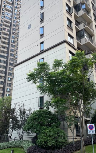 阳光城尚东湾动态:青柠开盘,楼间距100米,小区环境可以进去看看了解