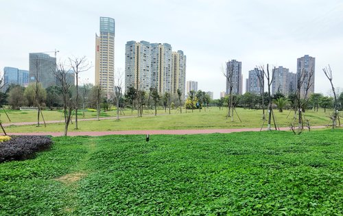 正在打造的毗河生态公园