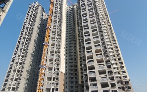 振羽首府动态:8栋,9栋外墙施工进度-邵阳安居客