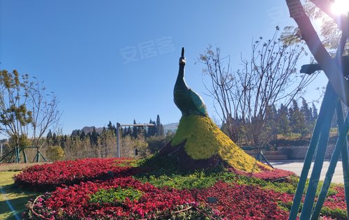 融创滇池南湾未来城动态:滇池南湾未来城五鱼邨小镇,让你置身于花海之