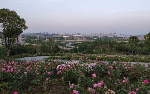武汉光谷黄龙山公园图片