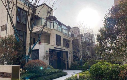 项目2021年年底交房,自带大型商业,门口就是11万方的龙湖天