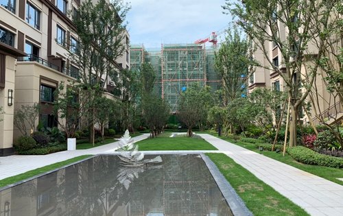 协信星澜汇四期花园洋房实景拍摄