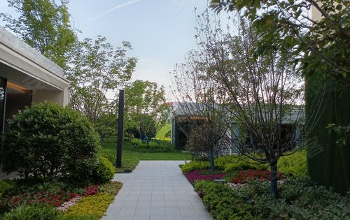 紫薇华发云峰里