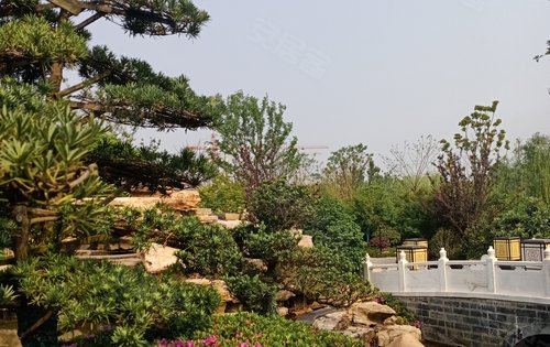 万振紫蓬湾中国院子图片