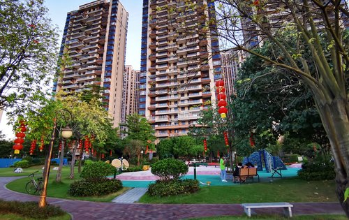 碧桂园凤凰湾已经投入使用的观澜苑沿江公园