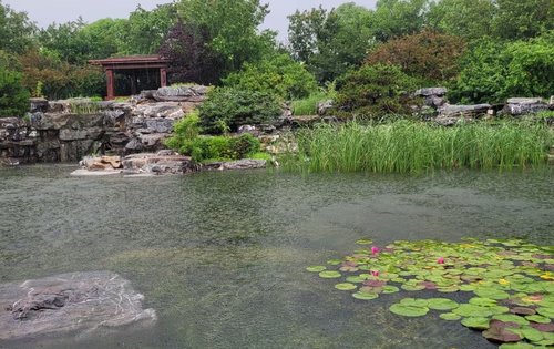 雨後的鹿鳴公園打卡