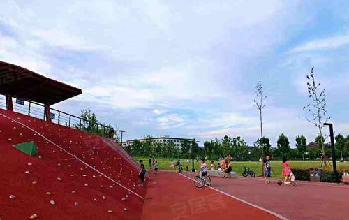 青浦体育公园图片