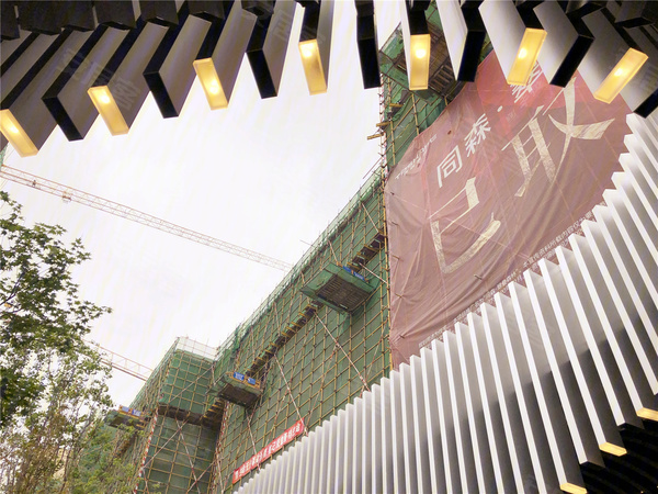 什么林叠翠成语_层林叠翠