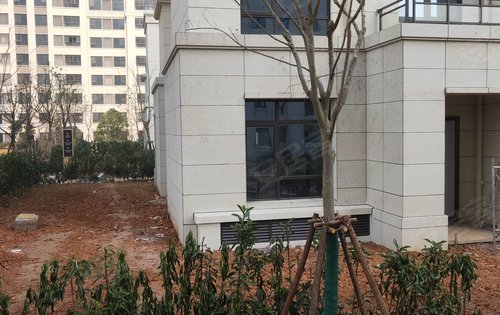 苏州楼盘 苏州周边楼盘 湖州楼盘 光明香樟园 楼盘动态
