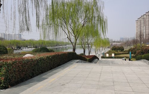 须水河滨湖公园家门口的游玩好去处好好环境好学校