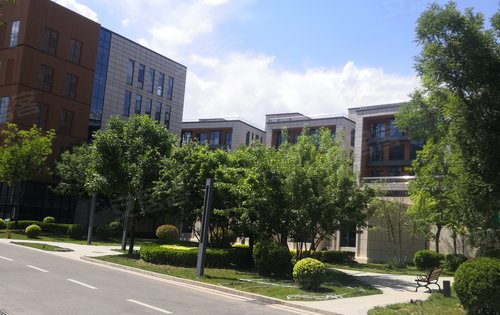 金悦花园动态:阳光下的小区-石家庄安居客