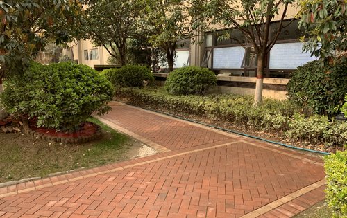 小区步道 展示社区配套绿化景观常绿林溪天悦楼盘点评(42)972021-03