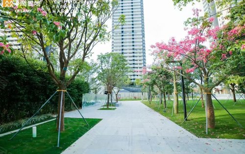 华润小径湾听海轩四期小区环境