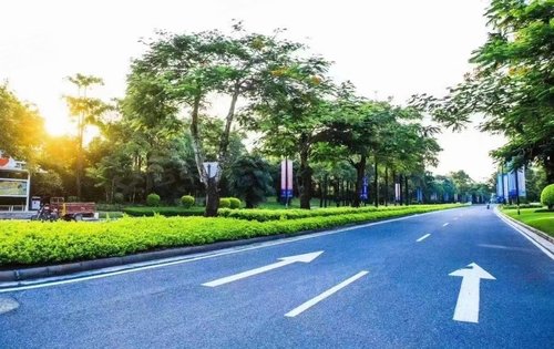 清水湾大道迎接您回家