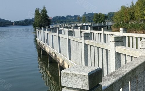 项目对面荔湖公园休闲步道