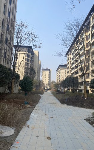 信阳印象湖山烂尾图片