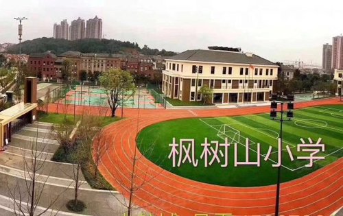 买保利城读枫树山小学找彭兰君哦